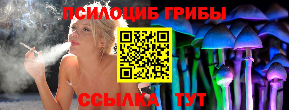 Псилоцибиновые грибы мицелий Кушва